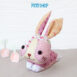 ชุดคิท Cutie Hugger Bunny ด้านหน้า