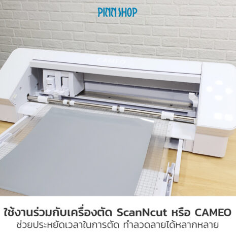 EQ-EUP-REFLECT-54-03 EQ-EUP-REFLECT-54-03