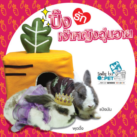 Y-SM-SEW107-KIT-03 ตัดเย็บเสื้อผ้าสัตว์เลี้ยง