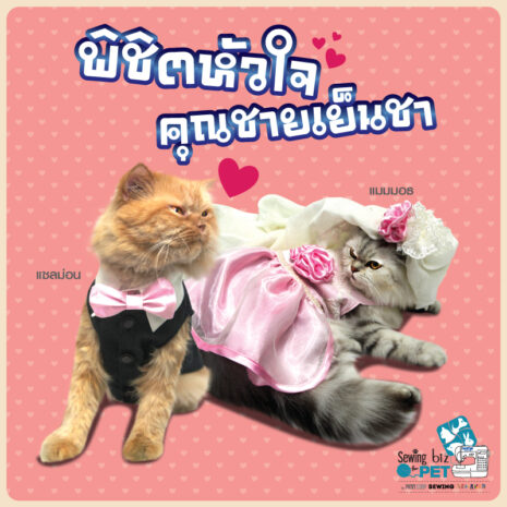 Y-SM-SEW107-KIT-04 ตัดเย็บเสื้อผ้าสัตว์เลี้ยง