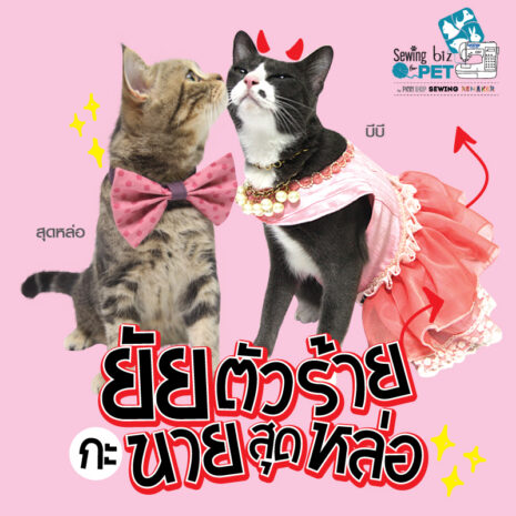 Y-SM-SEW107-KIT-05 ตัดเย็บเสื้อผ้าสัตว์เลี้ยง