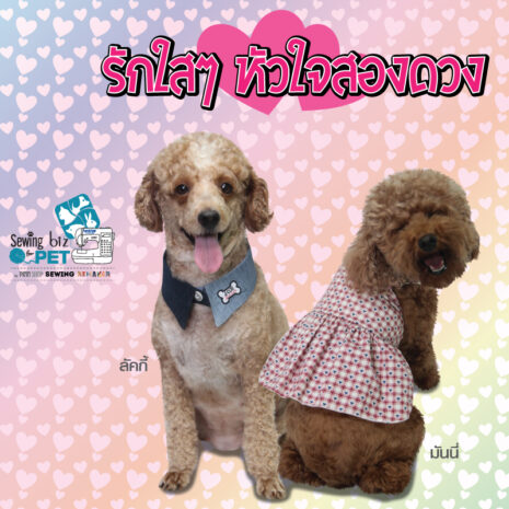 Y-SM-SEW107-KIT-06 Y-SM-SEW107-KIT-06