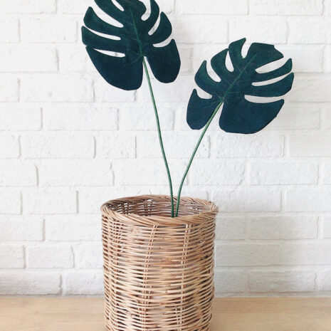 AQS-FC2001_01 AQS-FC2001_01