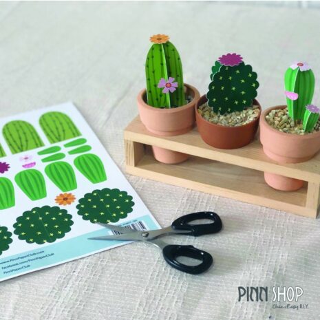 FINISHED-PCRAFT-D01-1 FINISHED-PCRAFT-D01-1