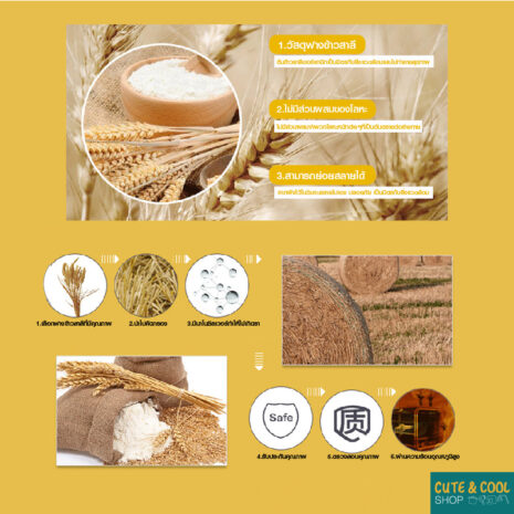 IMCH2005-0037_010 IMCH2005-0037_010