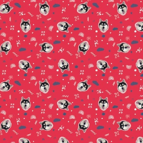 SSF-01C-011S-Thunbnail SSF-01C-011S-Thunbnail