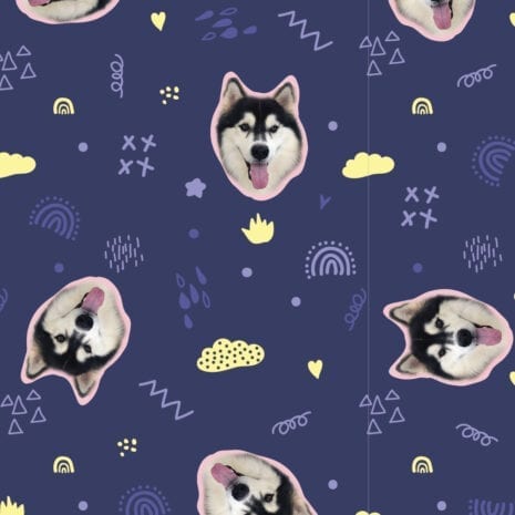 SSF-01C-012L-Thunbnail SSF-01C-012L-Thunbnail