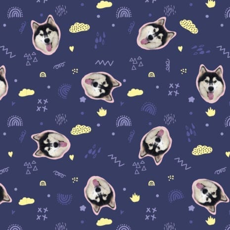 SSF-01C-012M-Thunbnail SSF-01C-012M-Thunbnail