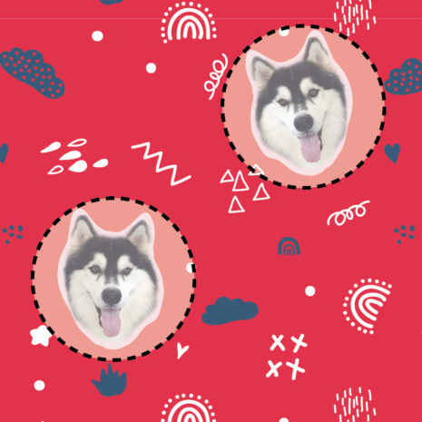 SSF-01C-011L-CustomArea SSF-01C-011L-CustomArea