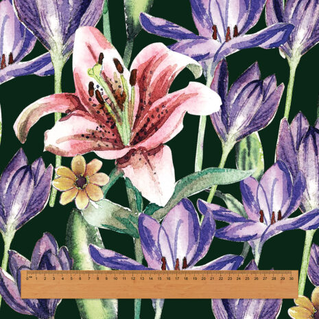 เทมเพดมีไม้บรรทัด เทมเพดมีไม้บรรทัด