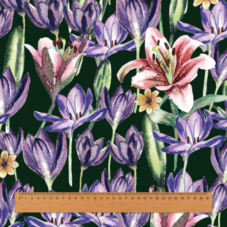 เทมเพดมีไม้บรรทัด เทมเพดมีไม้บรรทัด