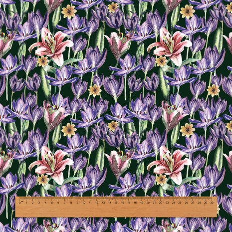 เทมเพดมีไม้บรรทัด เทมเพดมีไม้บรรทัด