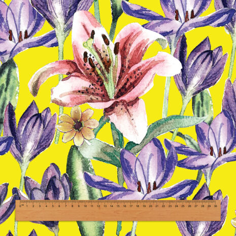 เทมเพดมีไม้บรรทัด เทมเพดมีไม้บรรทัด