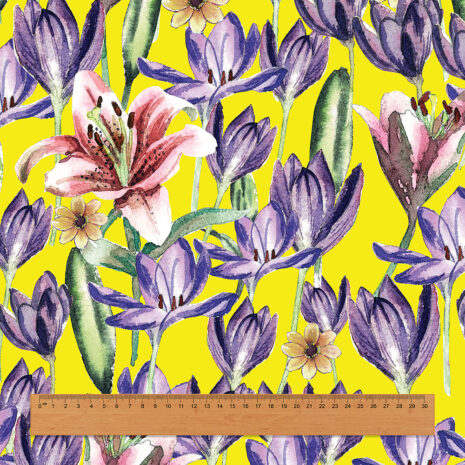 เทมเพดมีไม้บรรทัด เทมเพดมีไม้บรรทัด