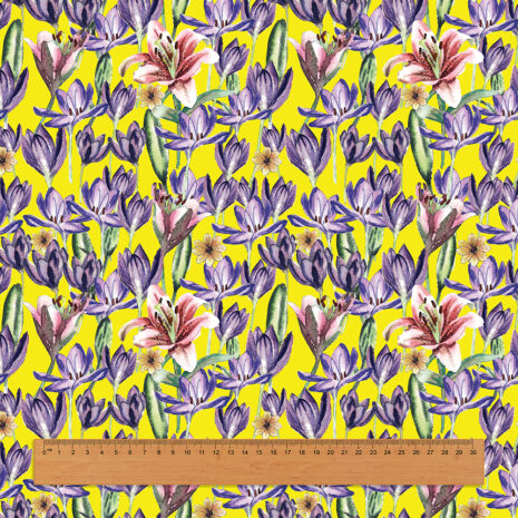 เทมเพดมีไม้บรรทัด เทมเพดมีไม้บรรทัด