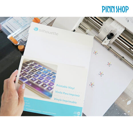 CAMEO-ACC-VINYL-PRINT-02 CAMEO-ACC-VINYL-PRINT-02