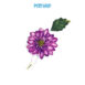 AQS-FC2004-Chrysanthemum-keycover-01