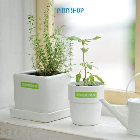 BRO-ACC-TZEMQG35-02 เทปเครื่องพิมพ์ฉลาก Brother