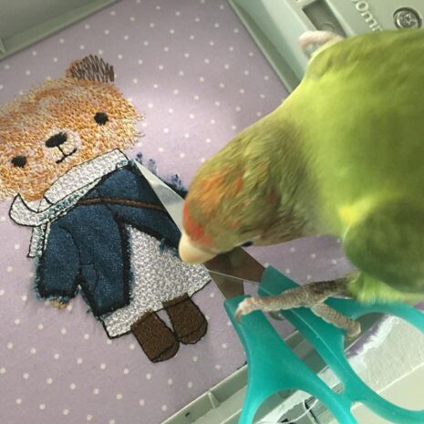 autosewing_KeyCoverBBBear_04 autosewing_KeyCoverBBBear_04