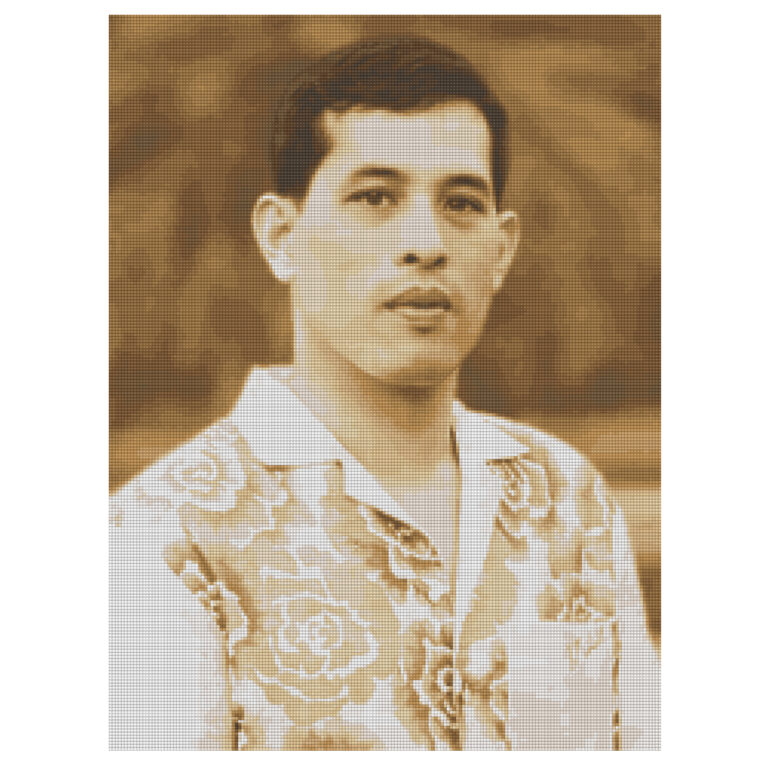 CX-EV-SP08 : รัชกาลที่10ฉลองพระองค์เสื้อฮาวาย
