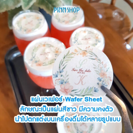 EQ-MIC-CAKEACCSHWADR-03 Wafer Sheet