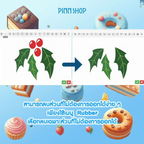 EQ-MIC-CAKESW-DVD9-05 EQ-MIC-CAKESW-DVD9-05