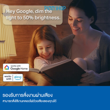 IMP-IT-TAPOL530E-06 IMP-IT-TAPOL530E-06