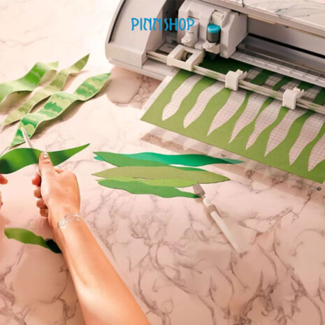 CAMEO-CM-5WHT-A-06 CAMEO-CM-5WHT-A-06