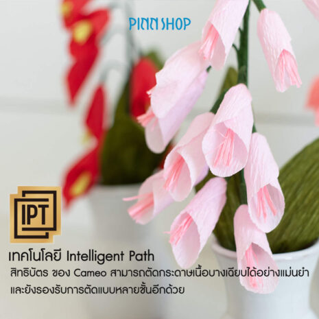 CAMEO-CM-5WHT-A-11 CAMEO-CM-5WHT-A-11