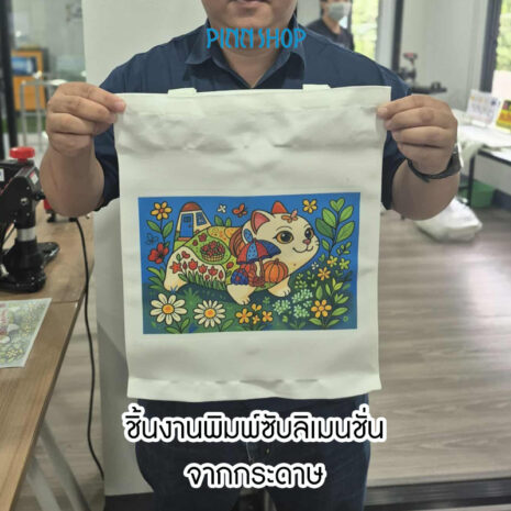 SUB-ACC-PAPER-06 SUB-ACC-PAPER-06