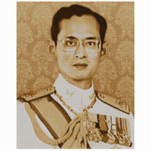 CX-EV-SP26 : รัชกาลที่9