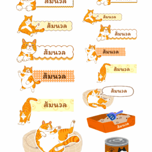 สติกเกอร์ UV DTF แมวส้ม 02 | ป้ายชื่อคัสตอมใส่ชื่อได้ UV DTF Sticker Orange Cat | Custom Name Label Set