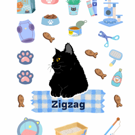 สติกเกอร์ UV DTF แมวดำ 04 | ป้ายชื่อคัสตอมใส่ชื่อได้ UV DTF Sticker Black Cat | Custom Name Label Set