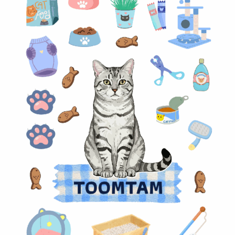 สติกเกอร์ UV DTF แมวลายสลิด 02 | ป้ายชื่อคัสตอมใส่ชื่อได้ UV DTF Sticker Tabby Cat | Custom Name Label Set
