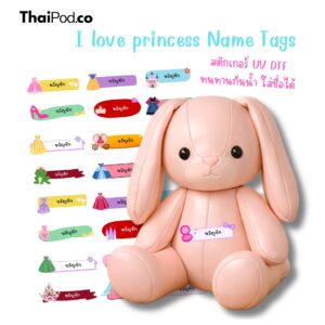 Premium NameTag สติกเกอร์ชื่อเด็ก UV DTF นูน วาว กันน้ำ ติดรองเท้า ขวดน้ำ กล่องข้าว ของใช้ไปโรงเรียน ลาย i love princess Name Tags