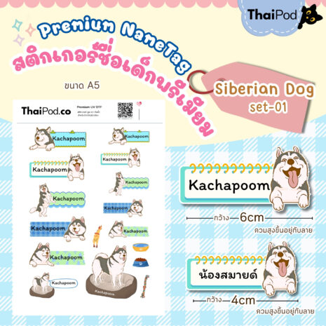siberian dog01-02