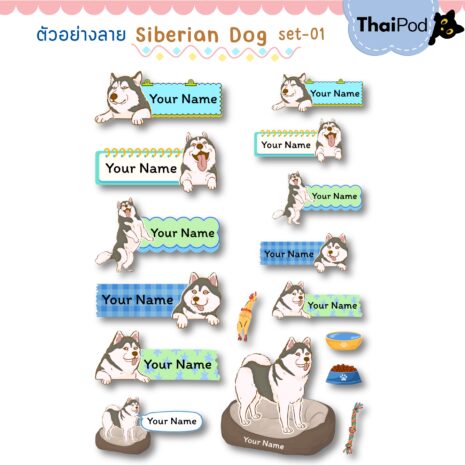 siberian dog01-07 siberian dog01-07